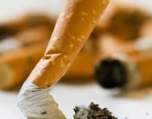 Lebih 7 juta Orang Konsumsi Tembakau dan Hampir 900.000 Perokok Pasif Meninggal Setiap Tahun